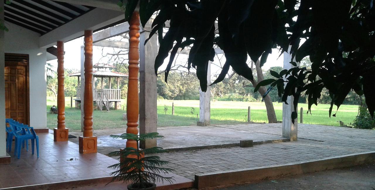 Willpattu Wild Watch Hotel Habawewa Bagian luar foto