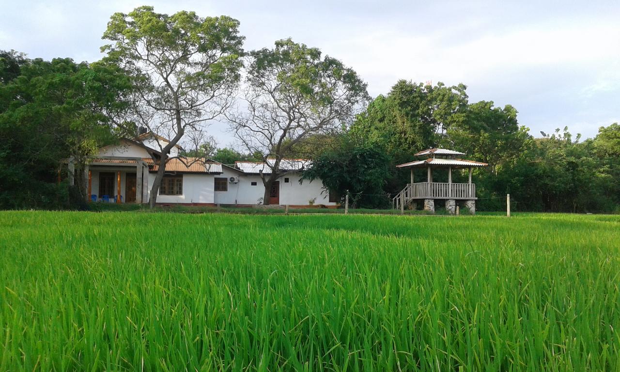 Willpattu Wild Watch Hotel Habawewa Bagian luar foto