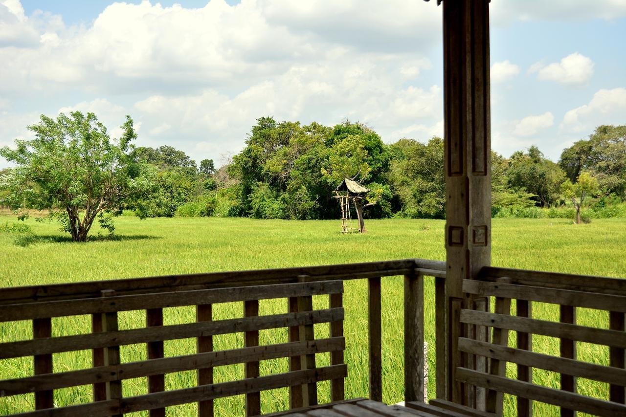 Willpattu Wild Watch Hotel Habawewa Bagian luar foto