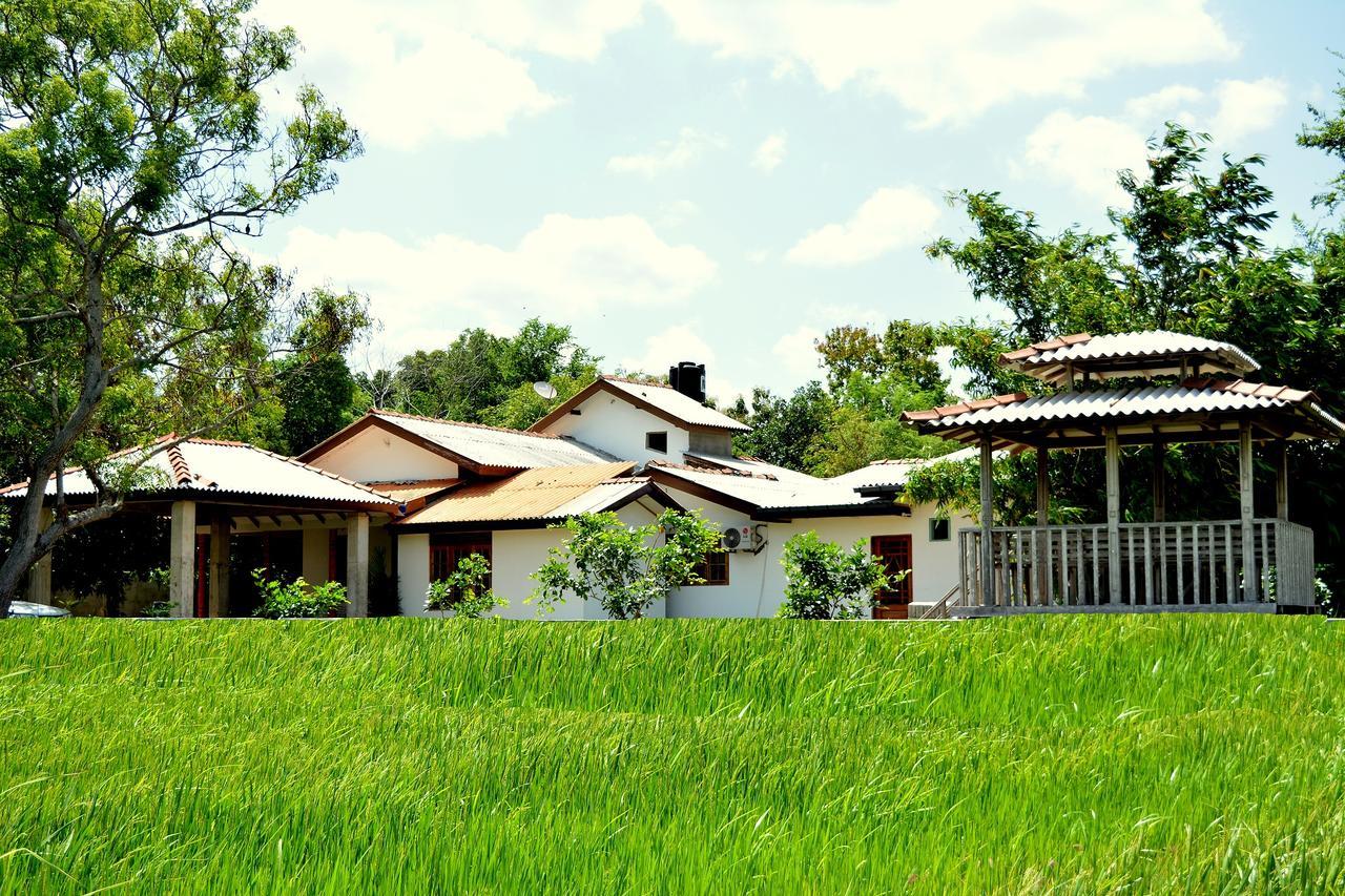 Willpattu Wild Watch Hotel Habawewa Bagian luar foto